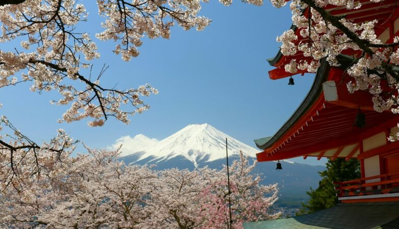Tourists defecate in residents' gardens. Japanese city cancels cherry blossom festival