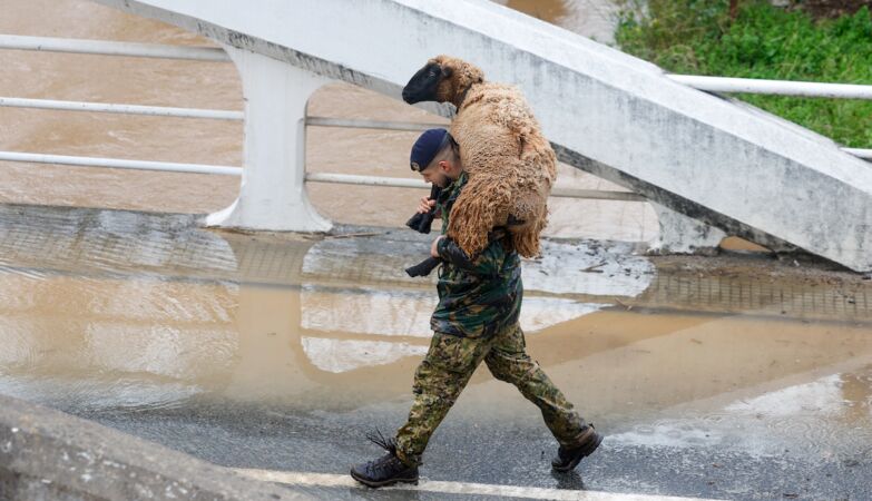 Bad weather: the Armed Forces are there, communication is… no
