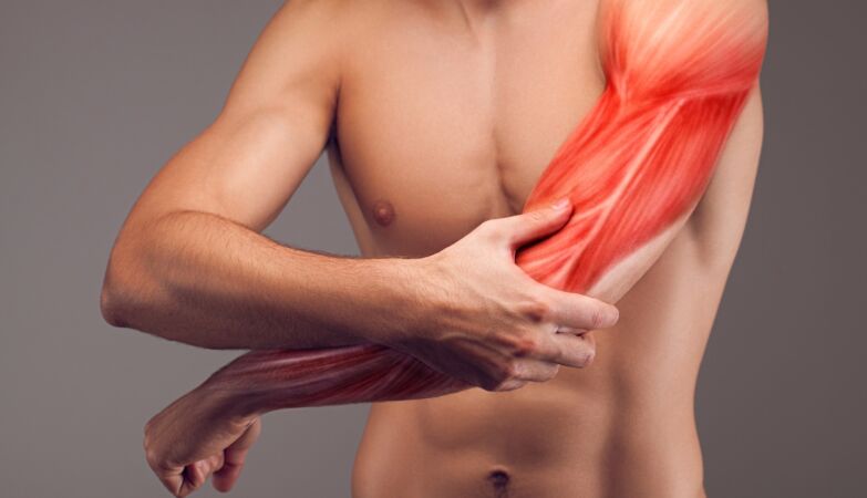 Scientists Discover How Statins Harm Muscles — and How to Avoid It