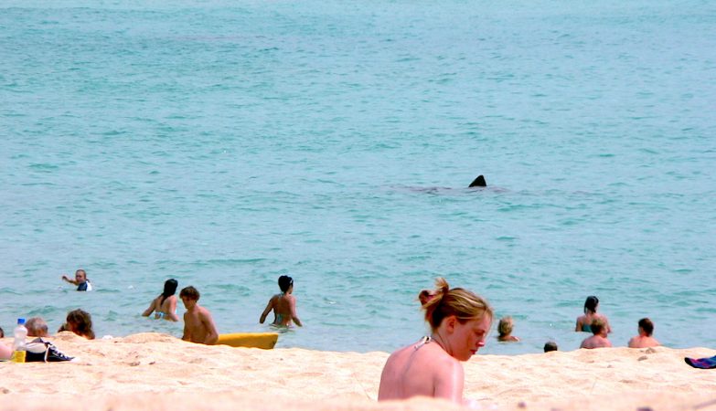 The southern Indian Ocean is losing salt at an “alarming” rate