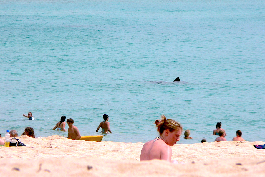 The southern Indian Ocean is losing salt at an “alarming” rate