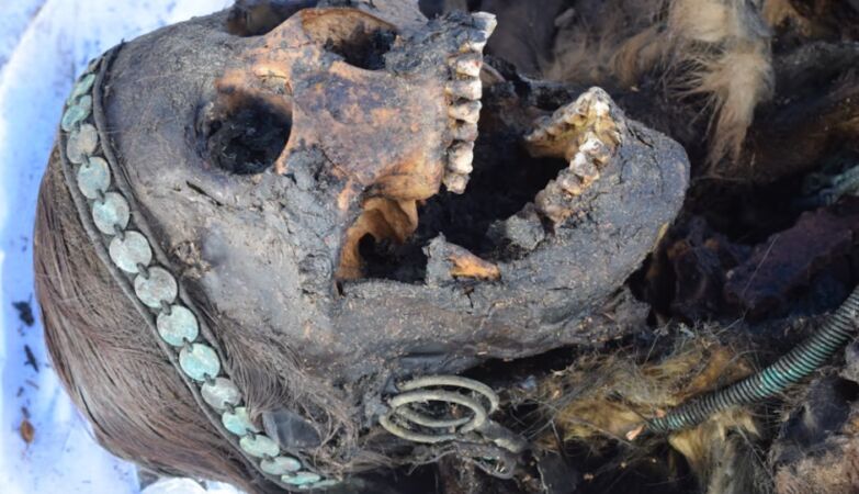 DNA study tells the story of the last shaman of Siberia, who defied an empire and time