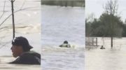 Businessman braves floods in Cádiz and swims against the current to reach his business