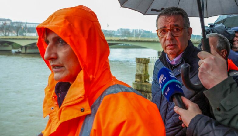 Coimbra doesn't need a lap, says Ana Abrunhosa