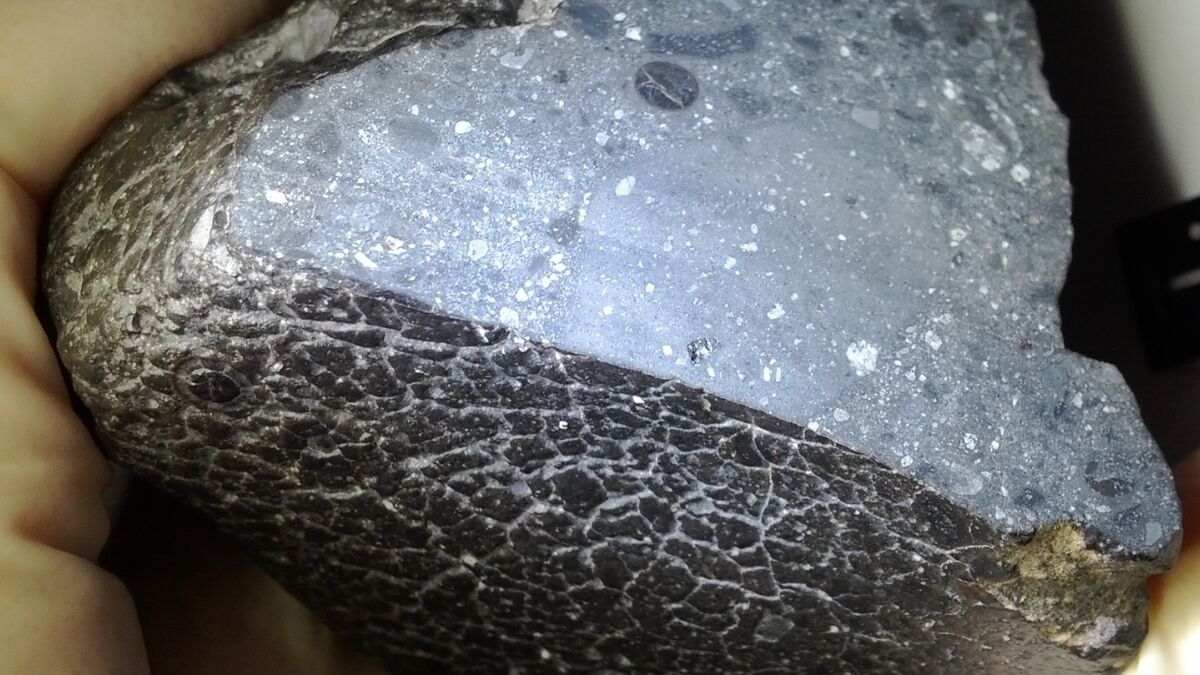 A black rock from Mars reveals something surprising