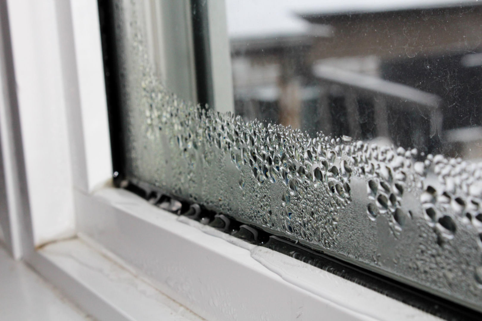 Home tips Thaw in the weather. Place it on your windowsill today and everyone in your household will feel better. A beautiful smell will spread throughout the house and the humidity level will return to normal