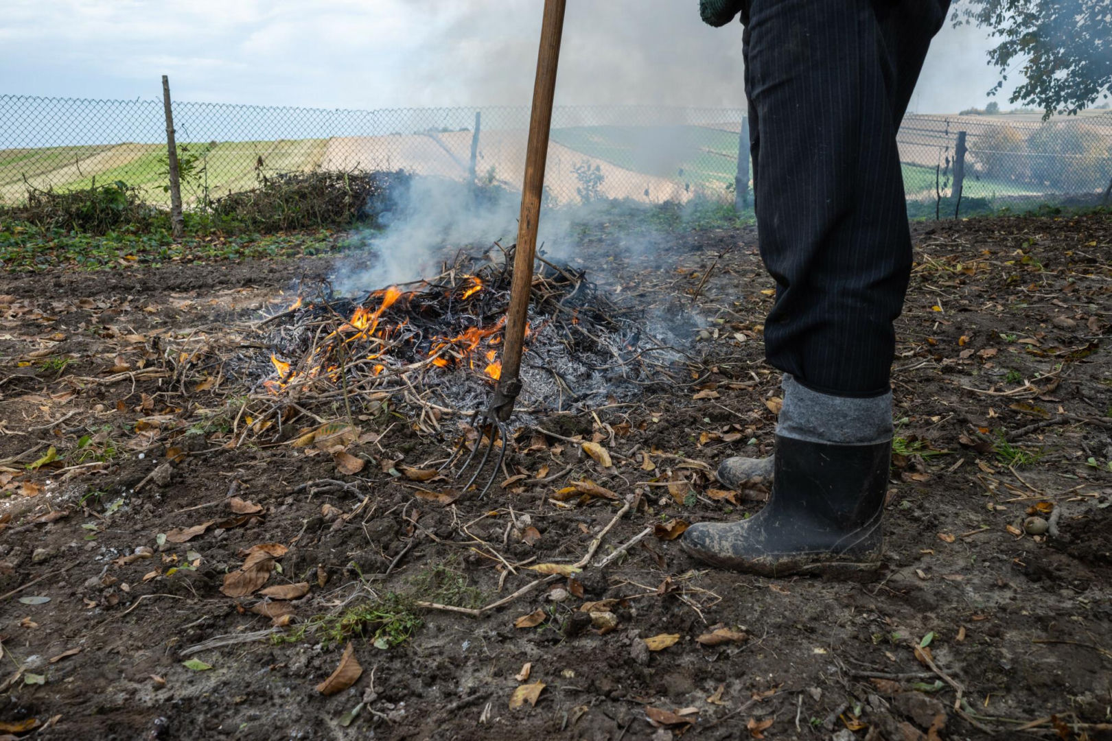 News Penalty for spring cleaning on your own plot. Don't make this mistake