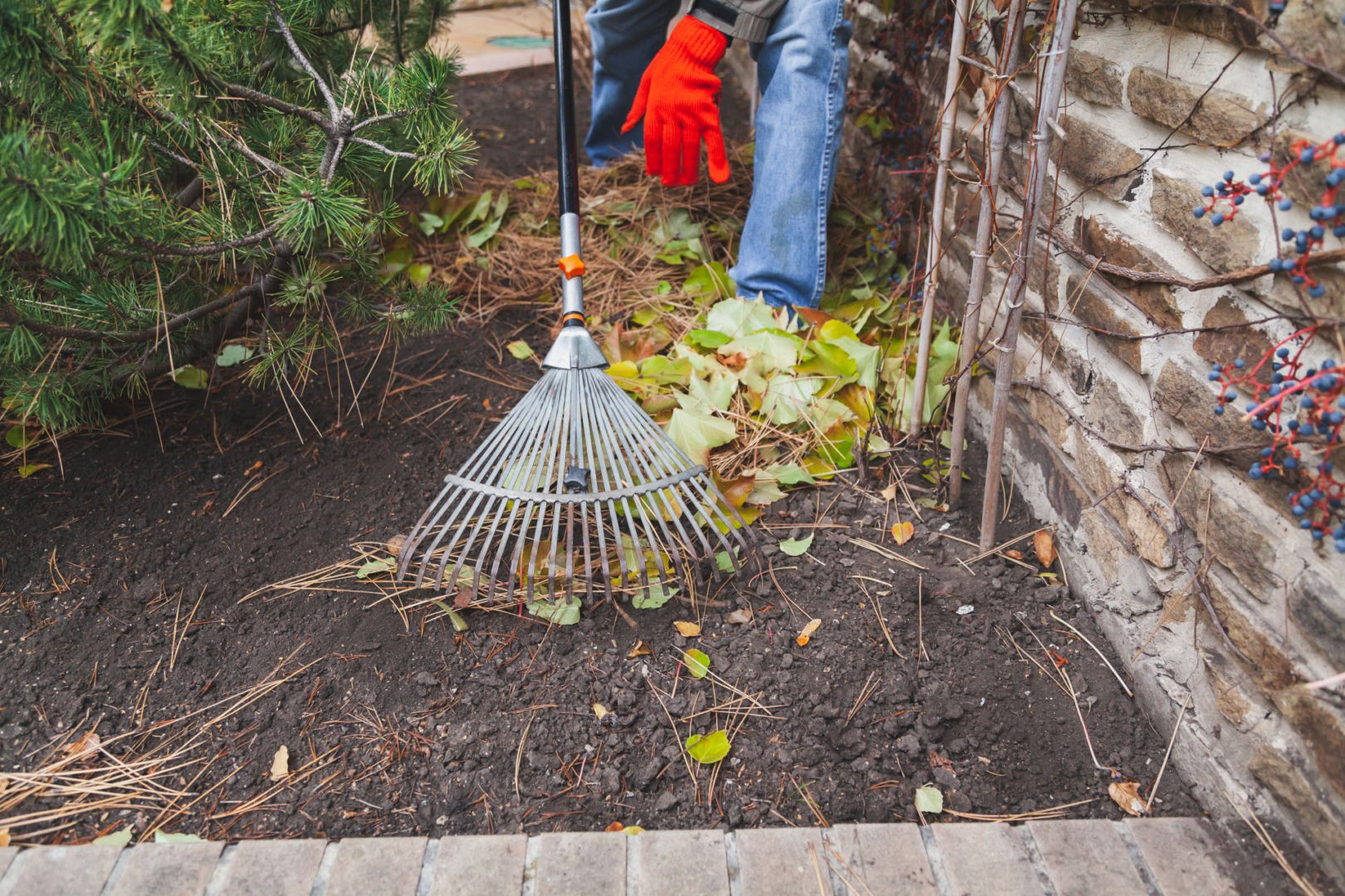 Spring is coming. Use raked leaves and branches in the garden in this way. We explain why it is worth raking in spring. Instead of burning the leaves, turn them into fertilizer