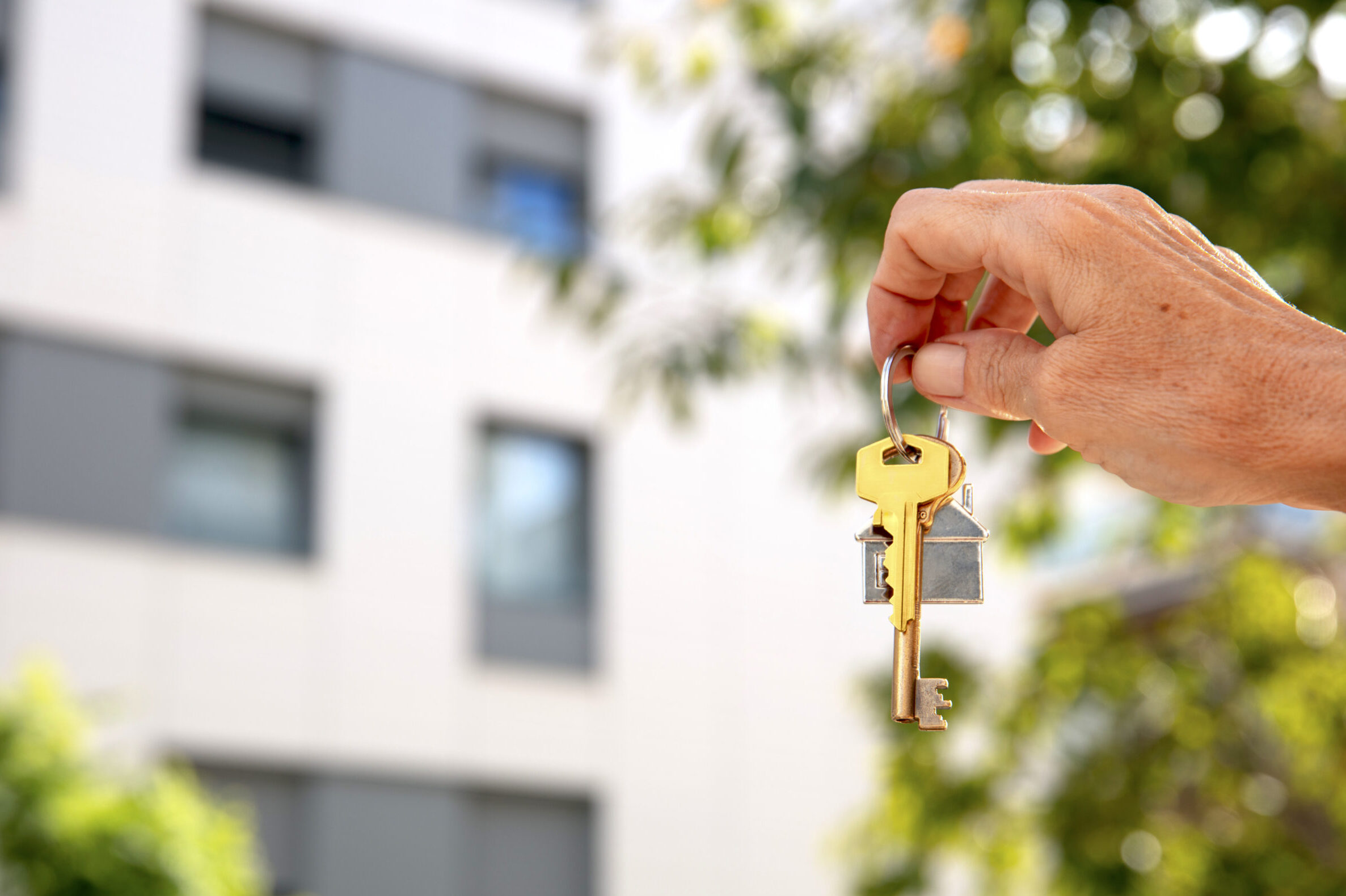 House rentals in the Algarve fall by 3.3% in January