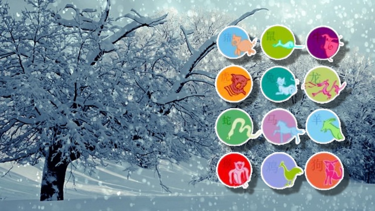 Horoscope February 14, 2026. A zodiac sign is proposed on Valentine's day