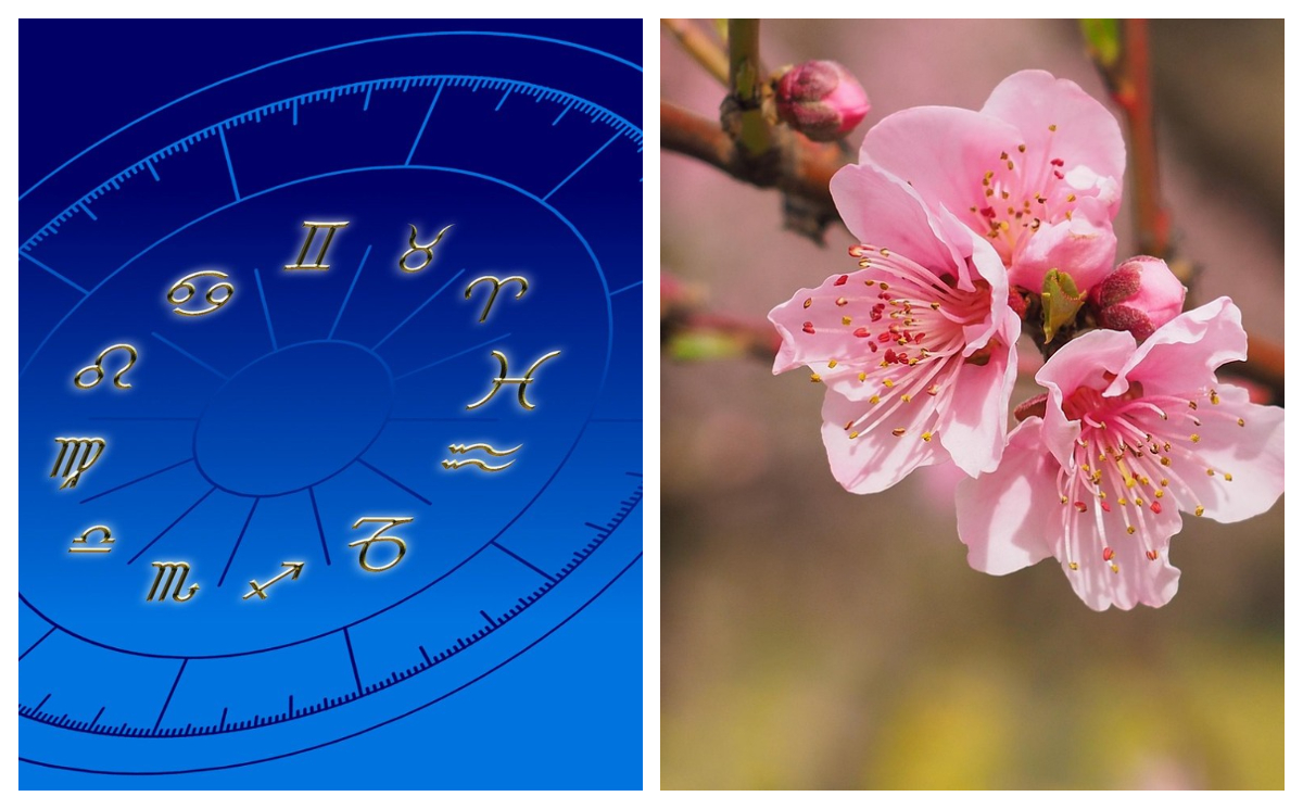 Six zodiac signs that are successful in career and lucky in love. Who are the natives who start a new life this spring