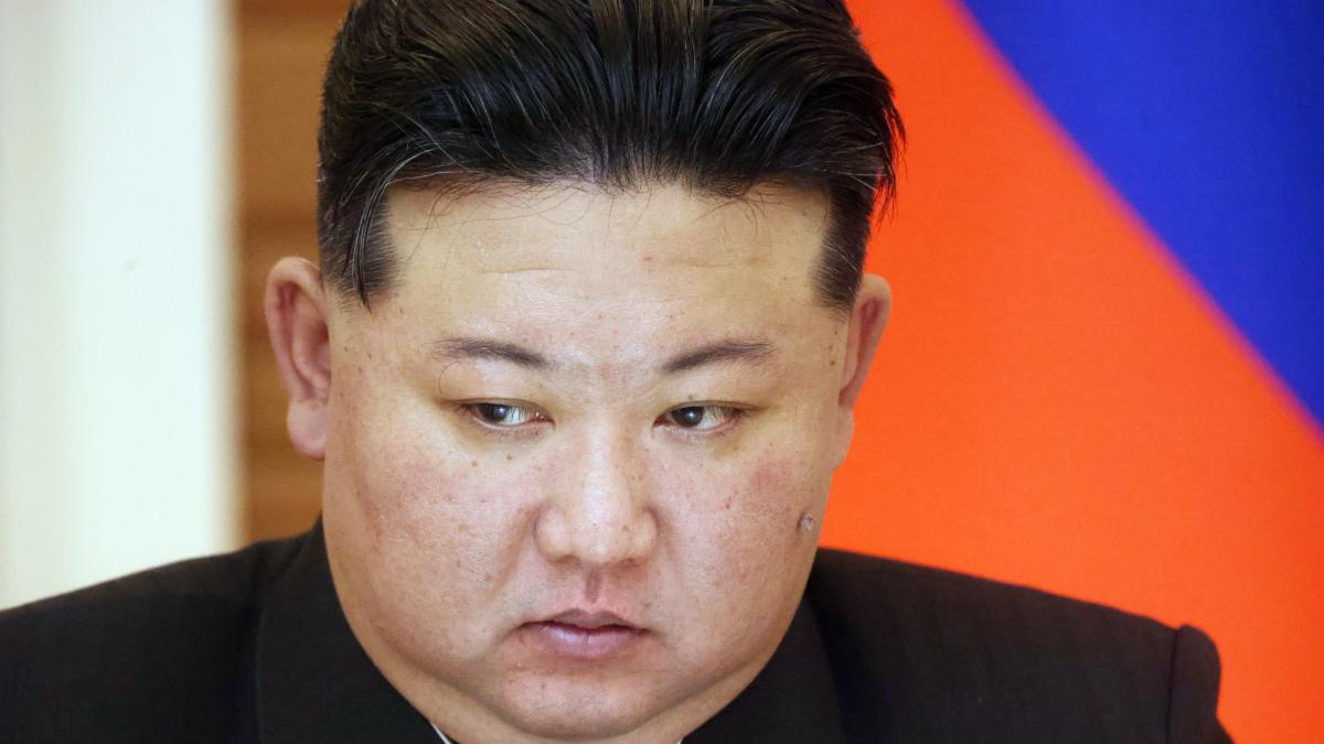 Kim Jong-un promotes his sister to ministerial rank: she studied in Switzerland with him, called the South Korean president a "faithful dog" and is one of the few people the leader trusts