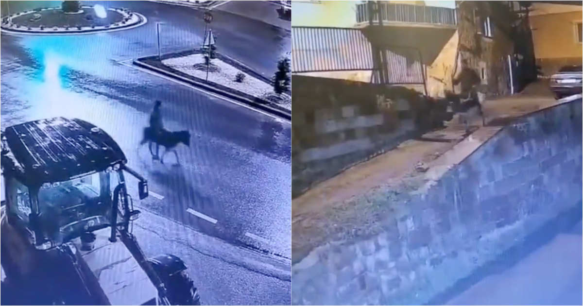 Thief makes surreal escape from goldsmith shop by escaping on a donkey
