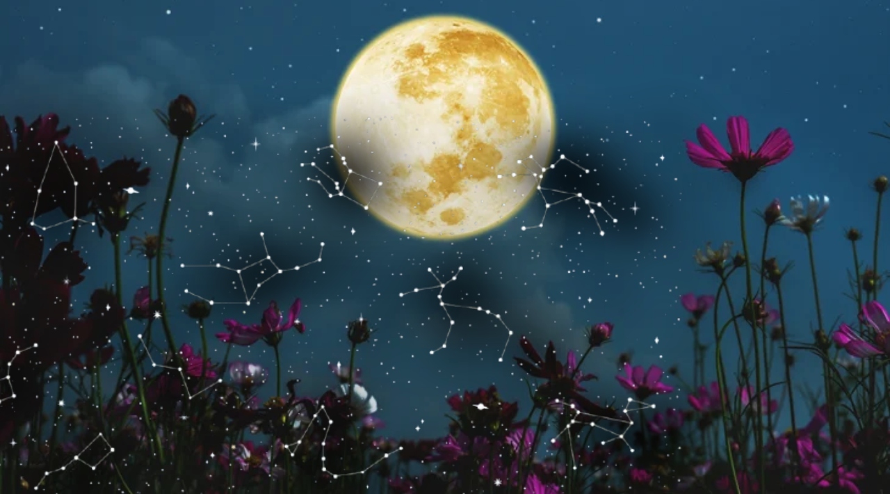 March begins with major astrological events: lunar eclipse in Virgo, Mercury retrograde and decisions that can no longer be postponed