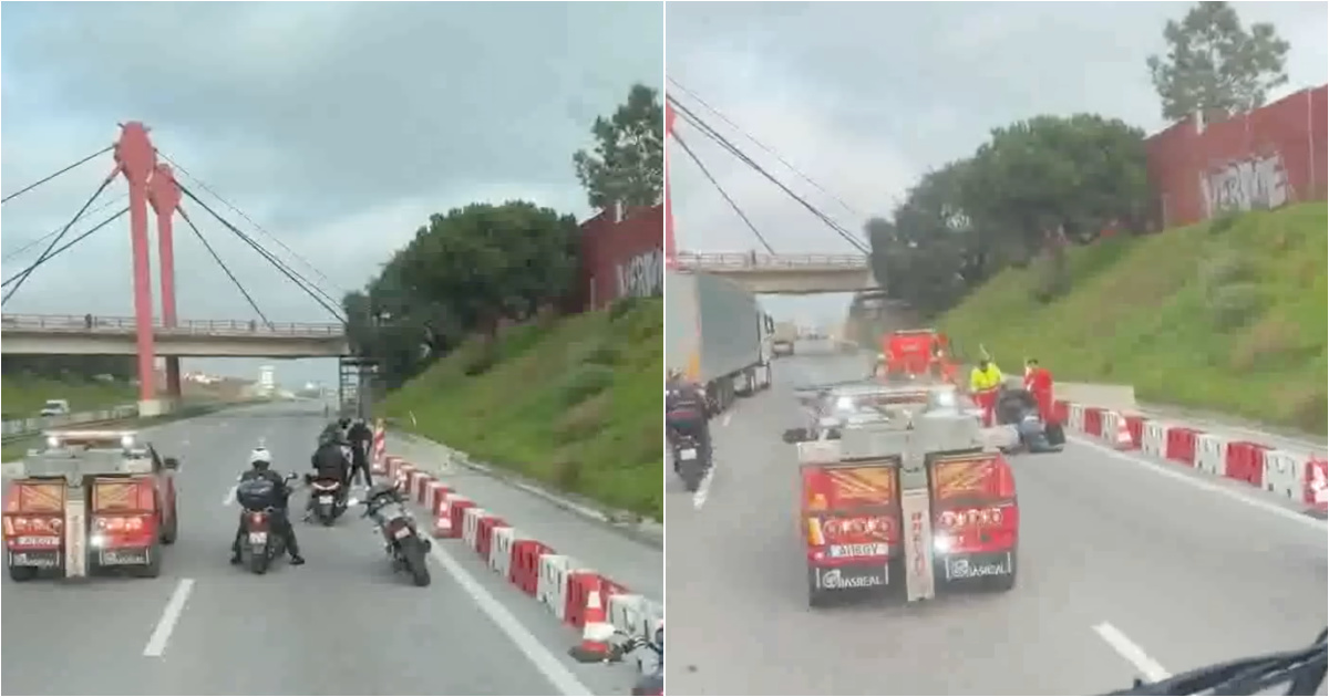 Woman walked two dogs on the A2 for six kilometers