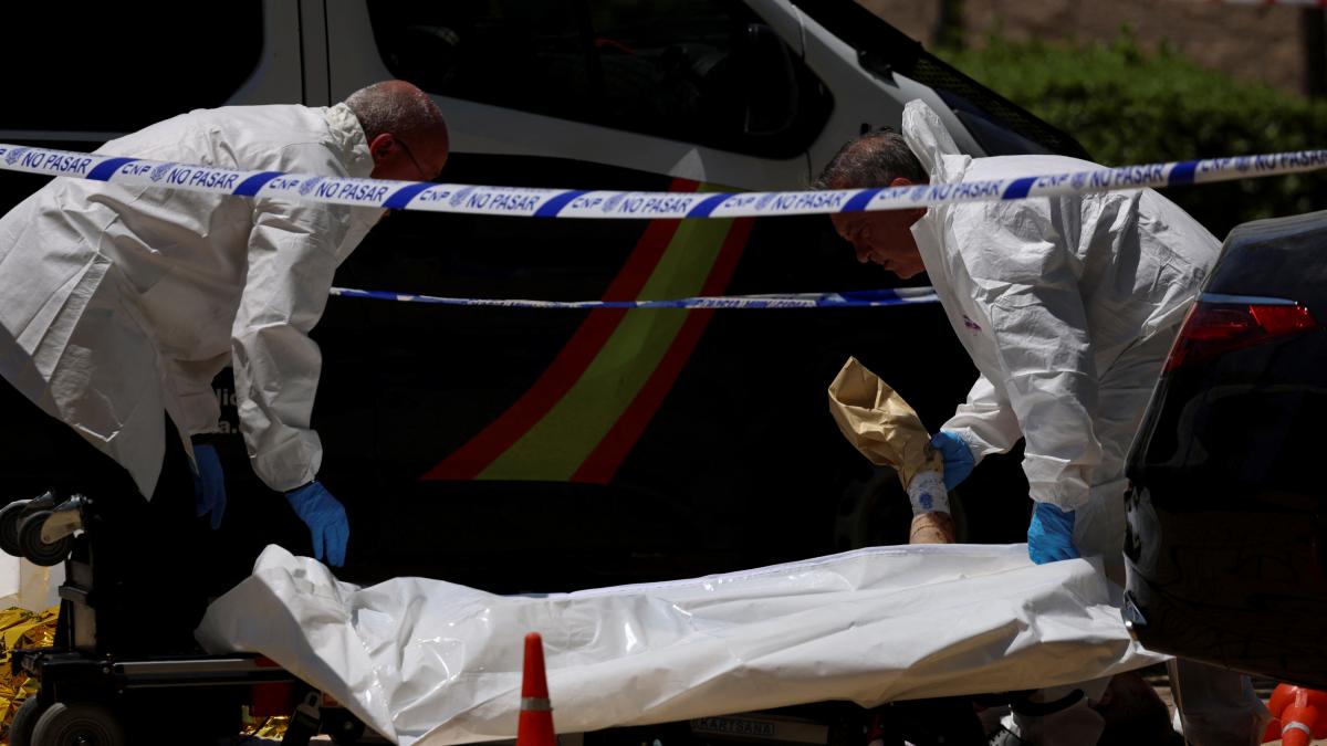 The alleged murderer of former Ukrainian politician Andréi Portnov in Pozuelo is arrested in Germany