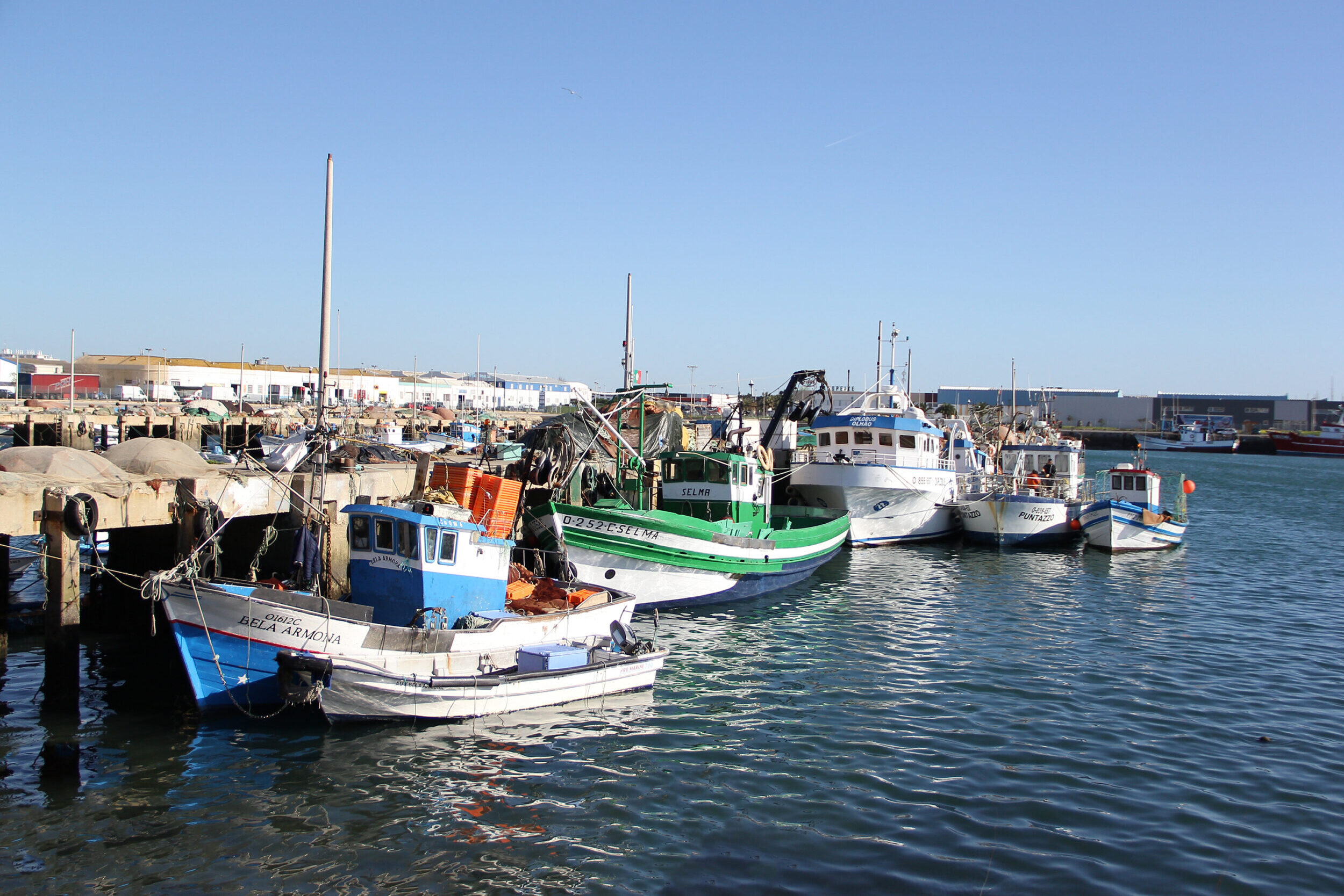 Bad weather leaves Algarve fishermen without income and waiting for support