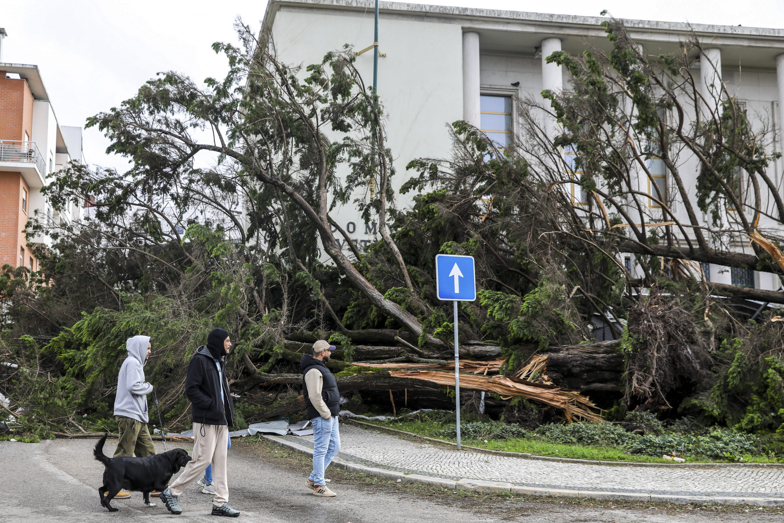 Storms, floods and strong winds: this detail in the insurance decides whether you receive compensation or whether you are left with nothing in your 'pocket'