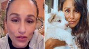 Rita Pereira launches an “urgent” appeal to find her dog: “He has been missing since 10 am…”