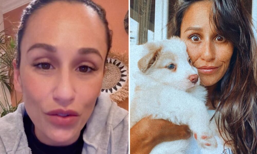 Rita Pereira launches an “urgent” appeal to find her dog: “He has been missing since 10 am…”