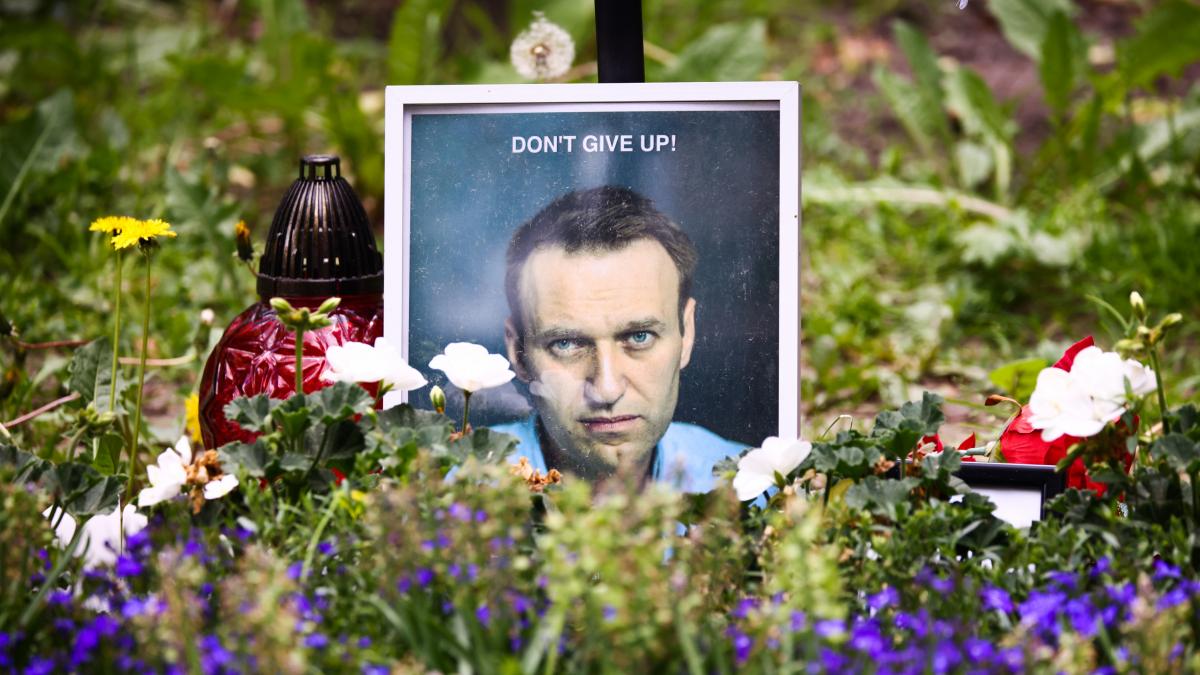 Five European countries accuse Russia of murdering Alexei Navalny with a lethal toxin present in a poisonous frog from South America
