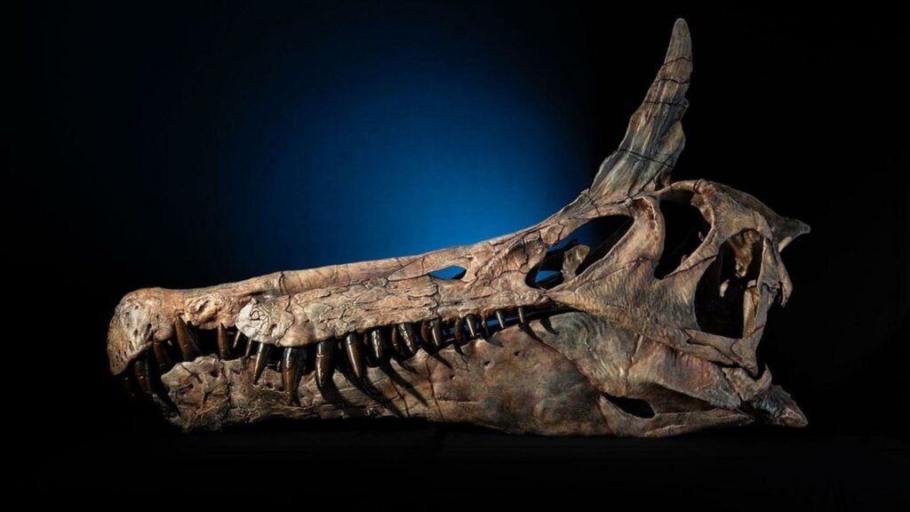 Nova espécie de espinossauro viveu no mar de Tétis há 95 milhões de anos, ampliando o conhecimento sobre dinossauros aquáticos.