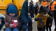 Wolves surprise child who cried after his father ate one of his nuggets