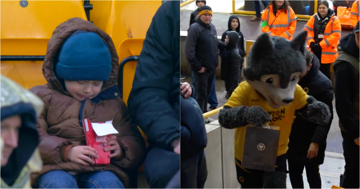 Wolves surprise child who cried after his father ate one of his nuggets
