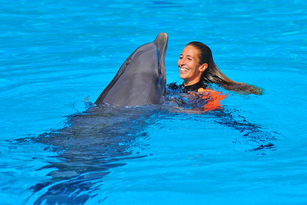 New Zoomarine season starts on March 12th with discounts