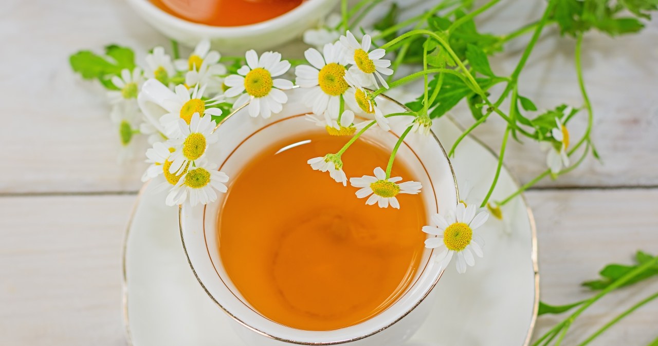 Chamomile infusion will help prevent some fungal diseases.
