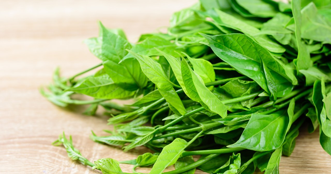 Gurmar is not without reason called the "sugar destroyer". It has the ability to temporarily block the receptors responsible for the sensation of sweet taste on the tongue /123RF/PICSEL