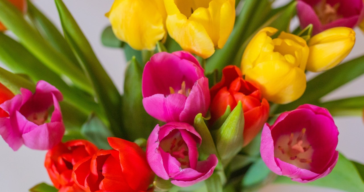 Do the flowers in the vase fade quickly? Few people know that the amount of water matters
