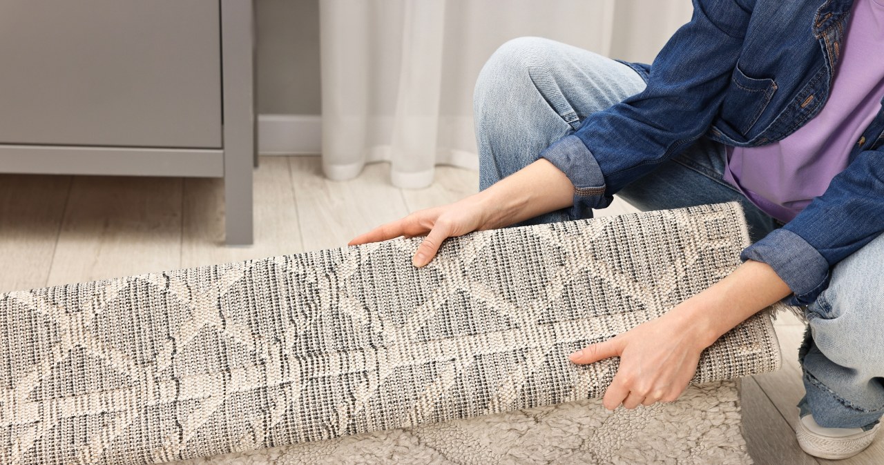 They can ruin your carpet or coat. This is how you will get the rascals out of the house