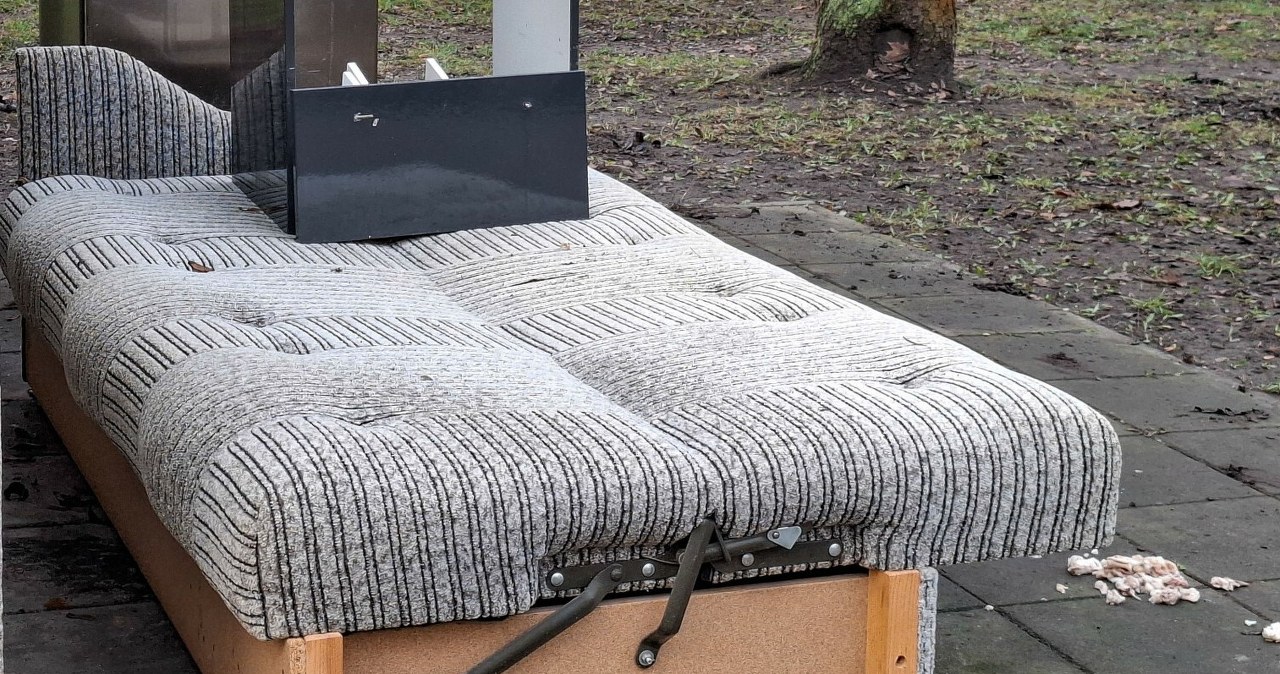 People started throwing out beds. This piece of furniture is better for a small apartment