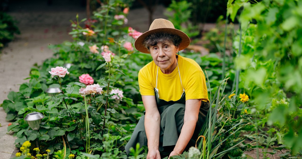 Bury it in the garden and you will reap a fortune. Fortunately, many do