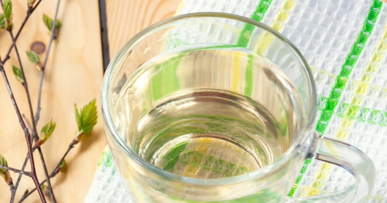 Forget about expensive detoxes. Water from the tree cleanses the kidneys and puts you back on your feet after winter