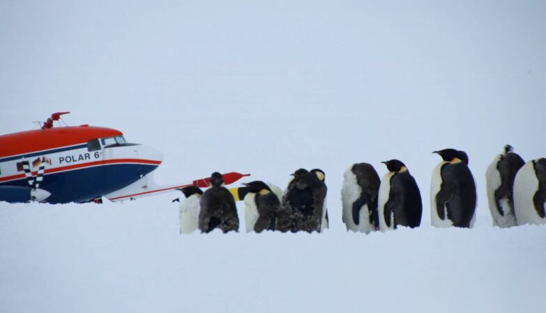 The mystery of Antarctica's clouds: what really floats on the ice?