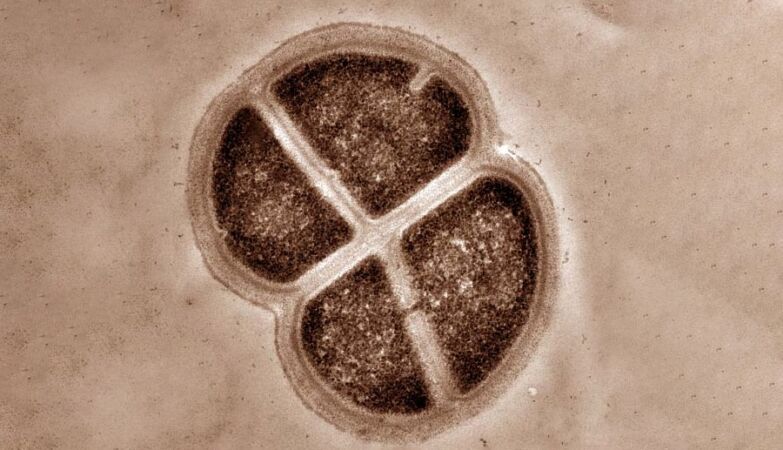 Martian life may have arrived on Earth billions of years ago