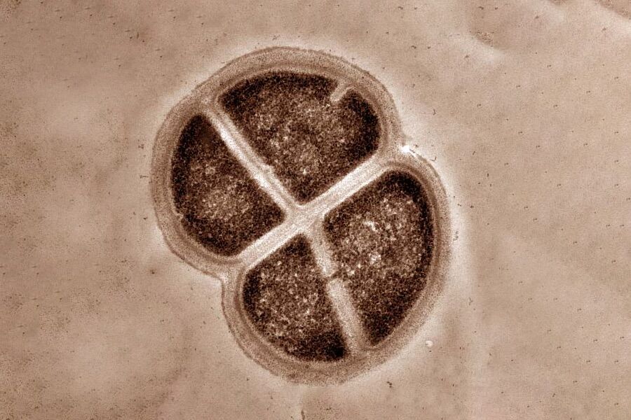 Martian life may have arrived on Earth billions of years ago