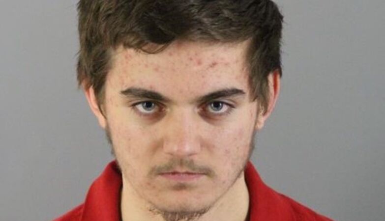 Nikita killed her parents for money to assassinate Trump. He lost everything in a scam. Life sentence