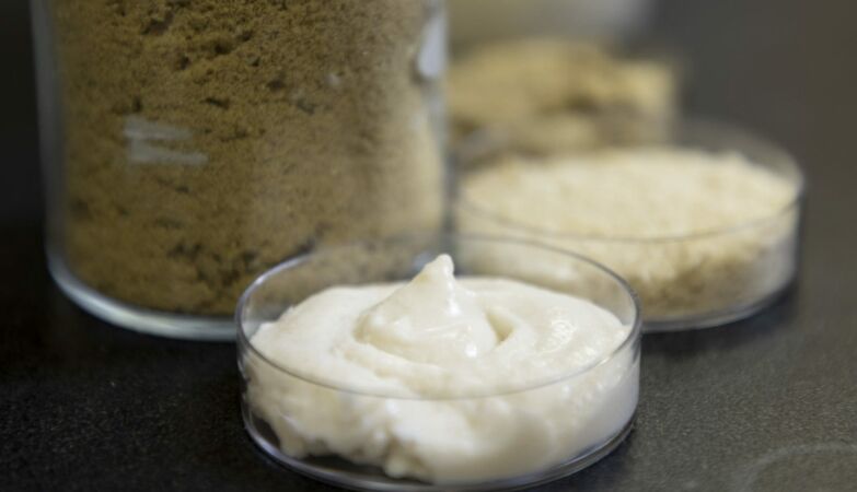 Is rice cheese the next big superfood?