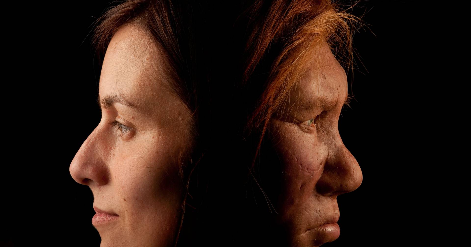 Sexual life of Neanderthal men and women Homo sapiens sheds clues on the evolution of the human genome