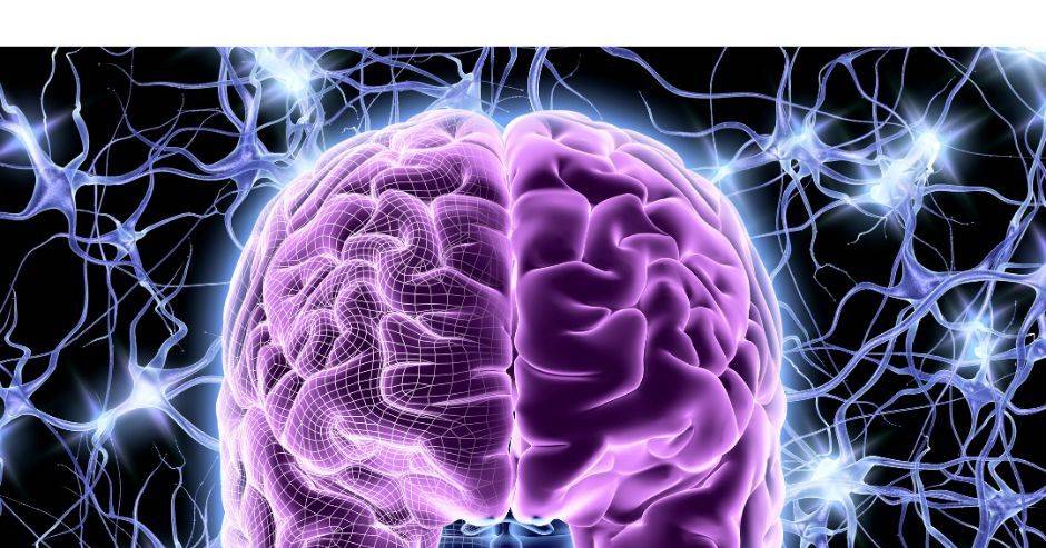 Deaf people's brain reorganizes itself to process images, reveals study from the University of Coimbra