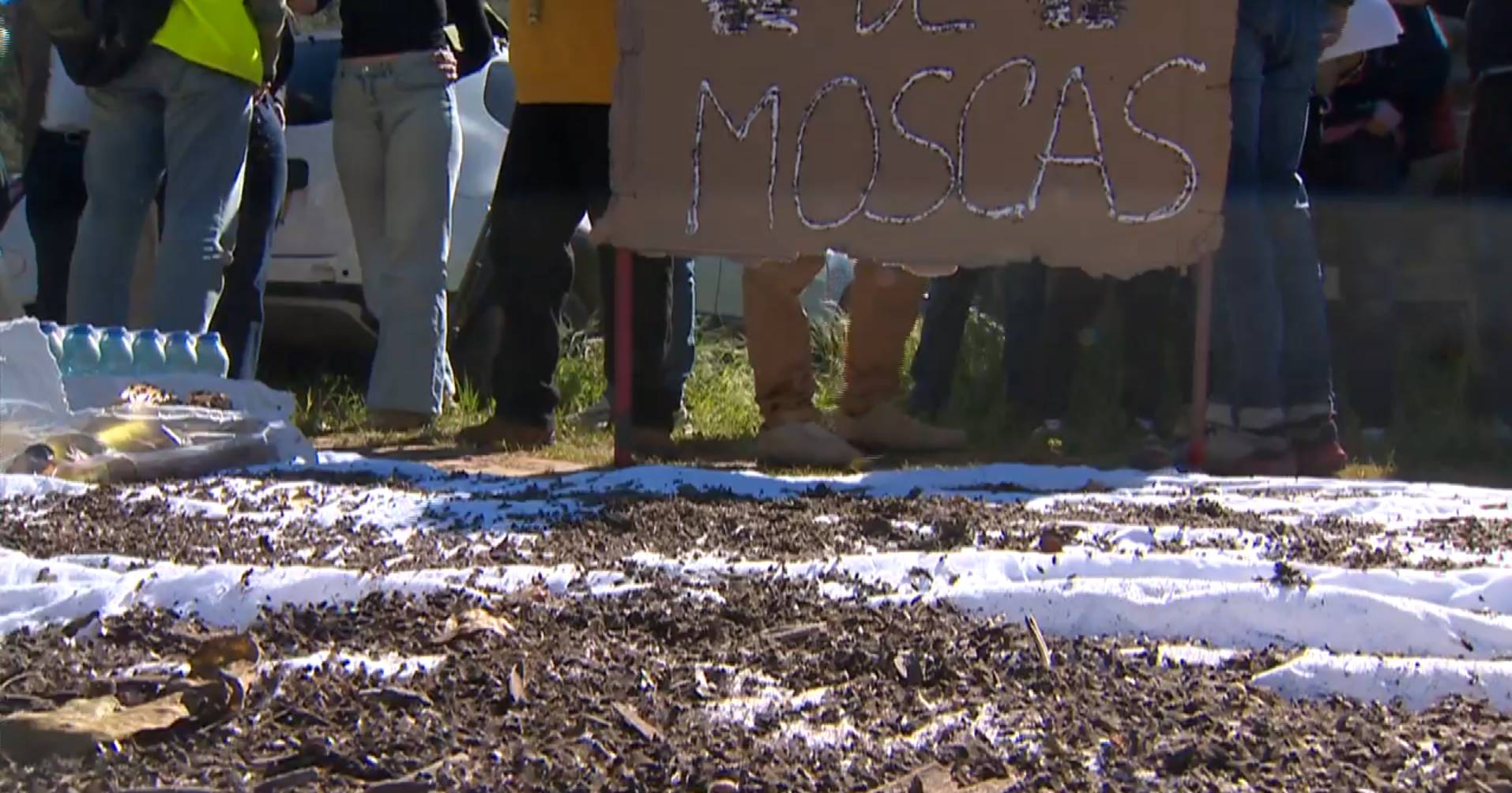 Flies and bad smell: around 500 residents protest against Aterro do Barlavento