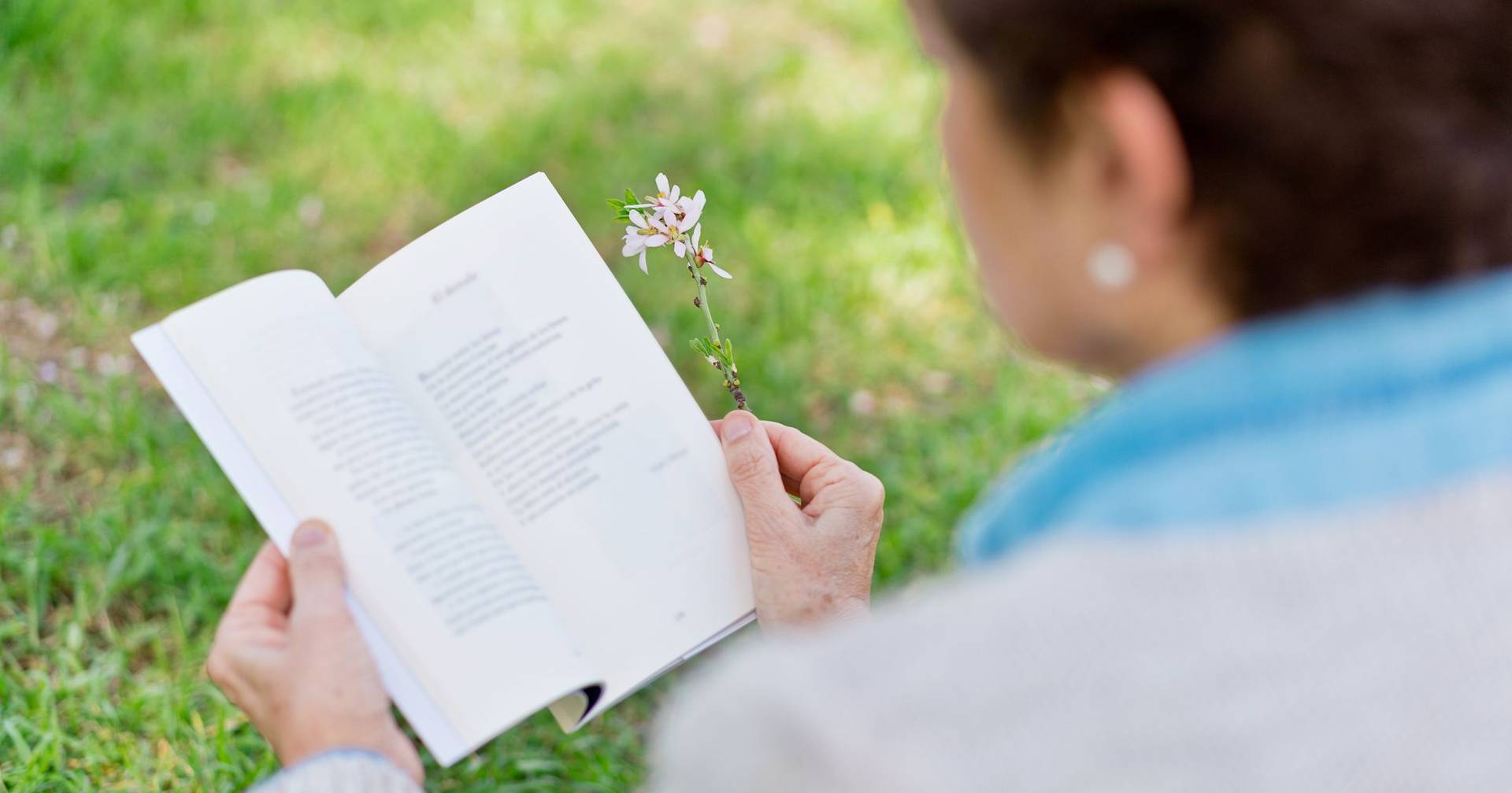 Jardim da Parada in Lisbon hosts poetry book fair with cinema, workshops and free entry