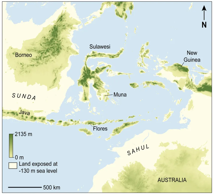 Outline of a hand at least 67,800 years old discovered in Indonesia