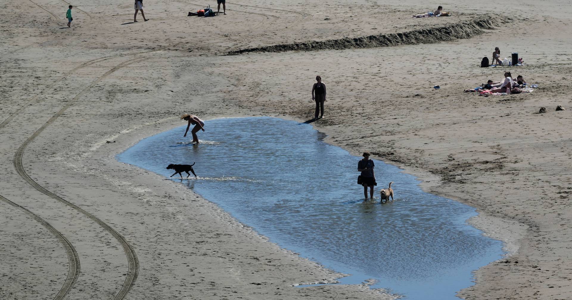 California faces heat wave and breaks record temperatures: March among the hottest in recent decades