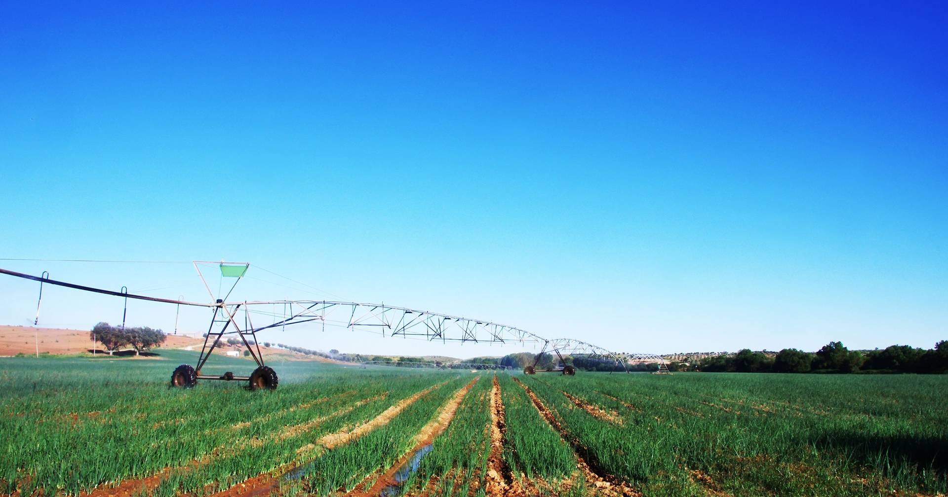 Portuguese farmers ask the Government for support after the rise in fertilizer prices