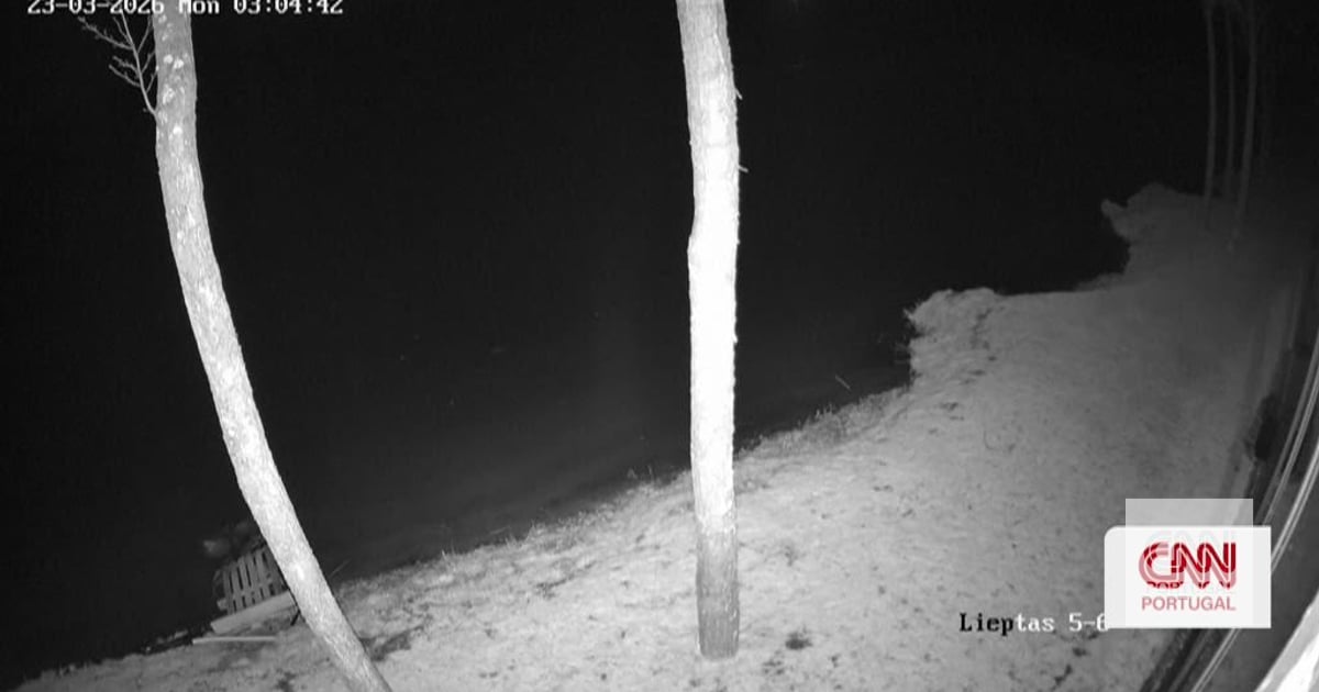 Video shows the moment a Ukrainian drone crashes in Lithuania near the border with Belarus