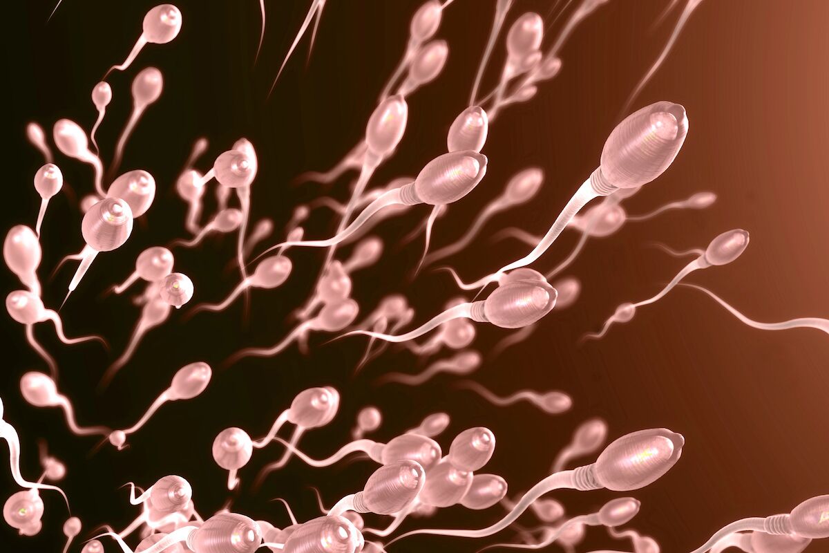 Frequent ejaculation can improve sperm quality